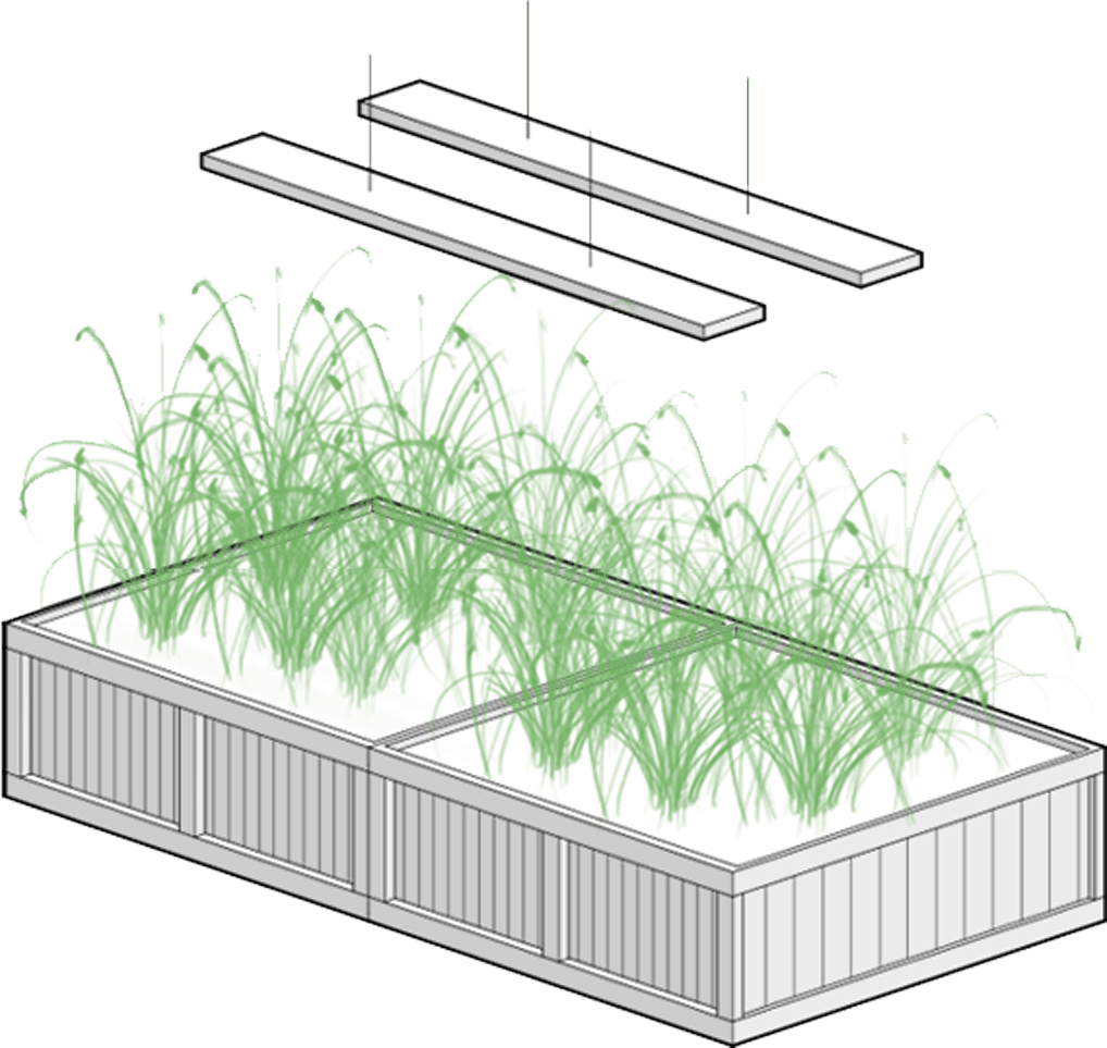 culinary promenade diagram