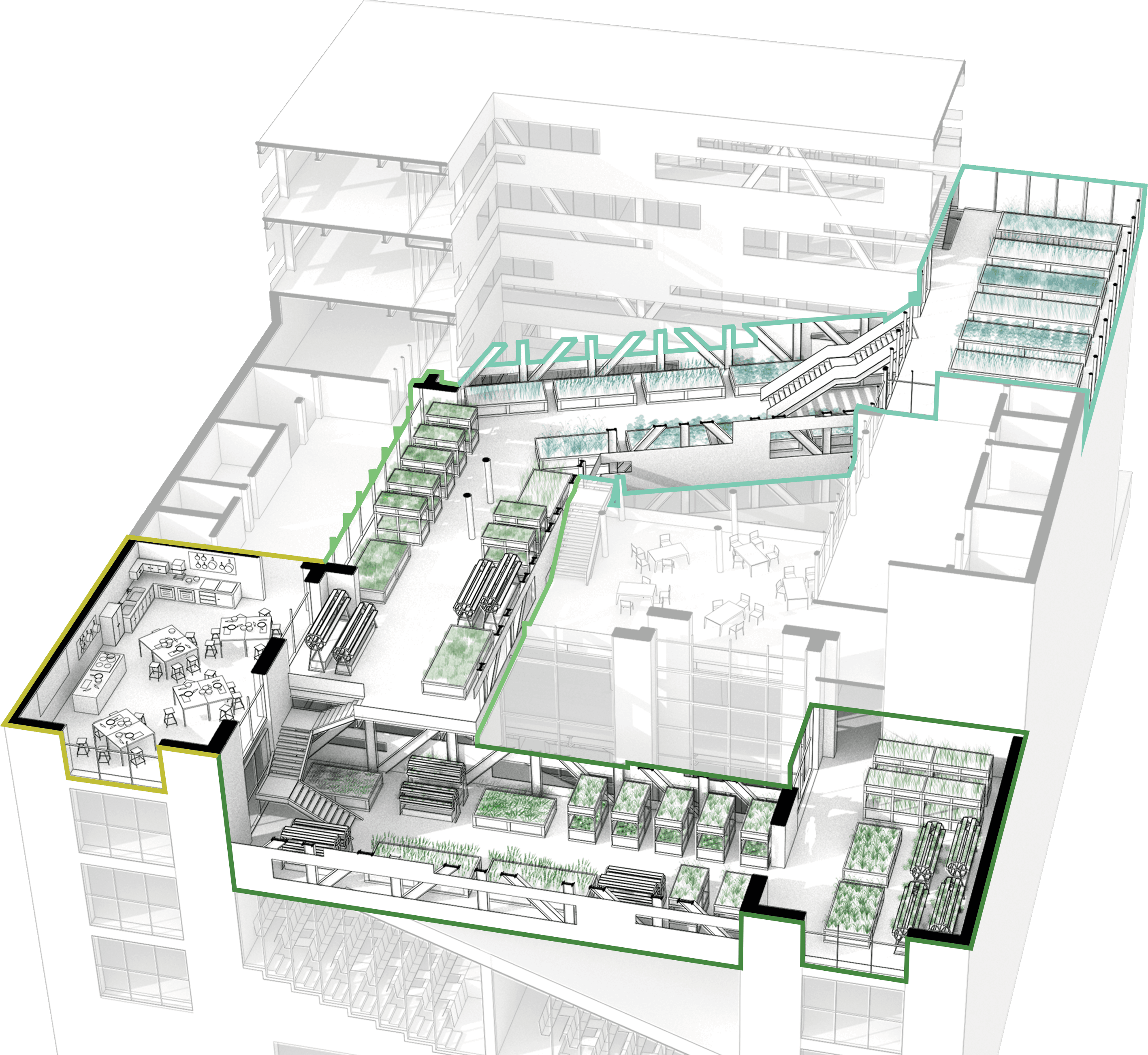 culinary promenade diagram