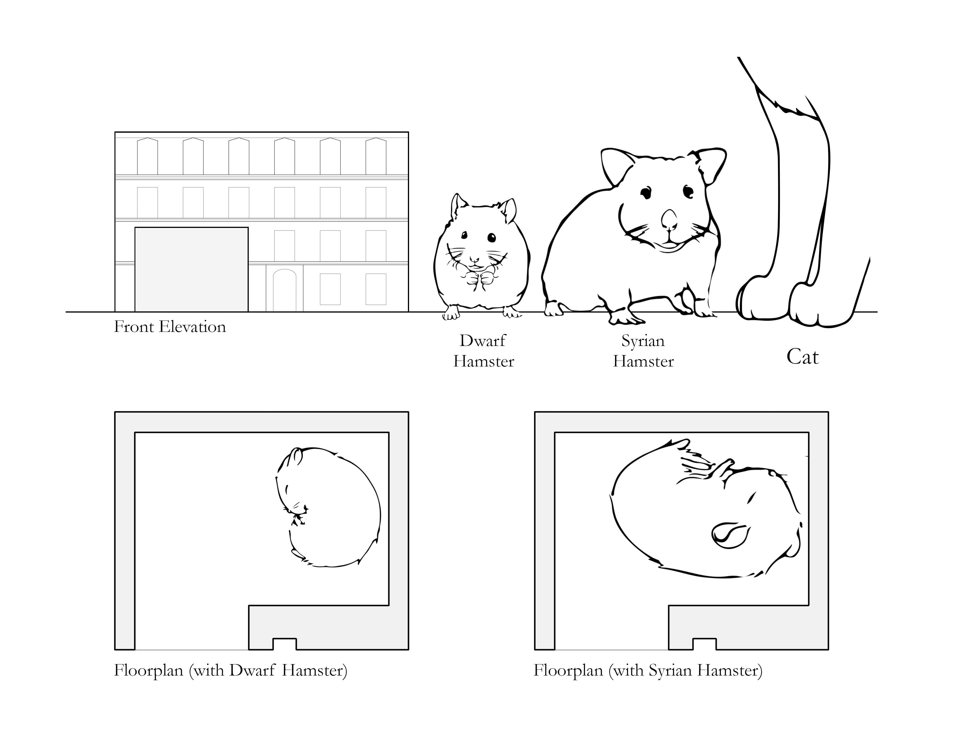 hamster hide diagram